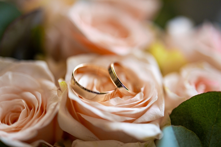 Photograph of two wedding rings